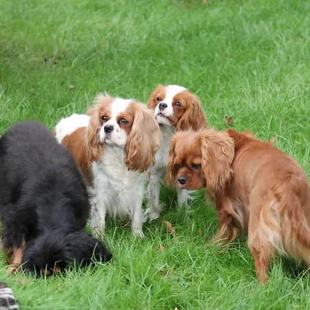 Rum i privatbostad Roager *