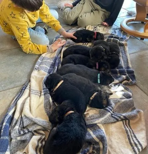 Roager Alloggio in famiglia