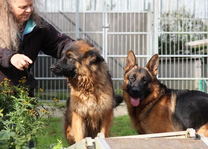 Roager Alloggio in famiglia Jejsing