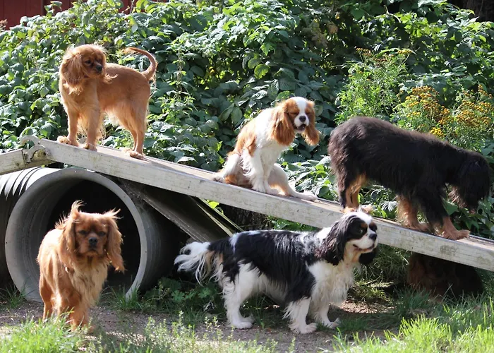 Alloggio in famiglia Roager Jejsing