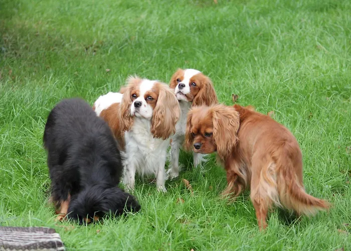 Alloggio in famiglia Roager *